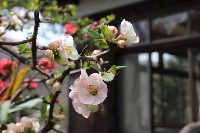 季節を彩る豊かな自然。