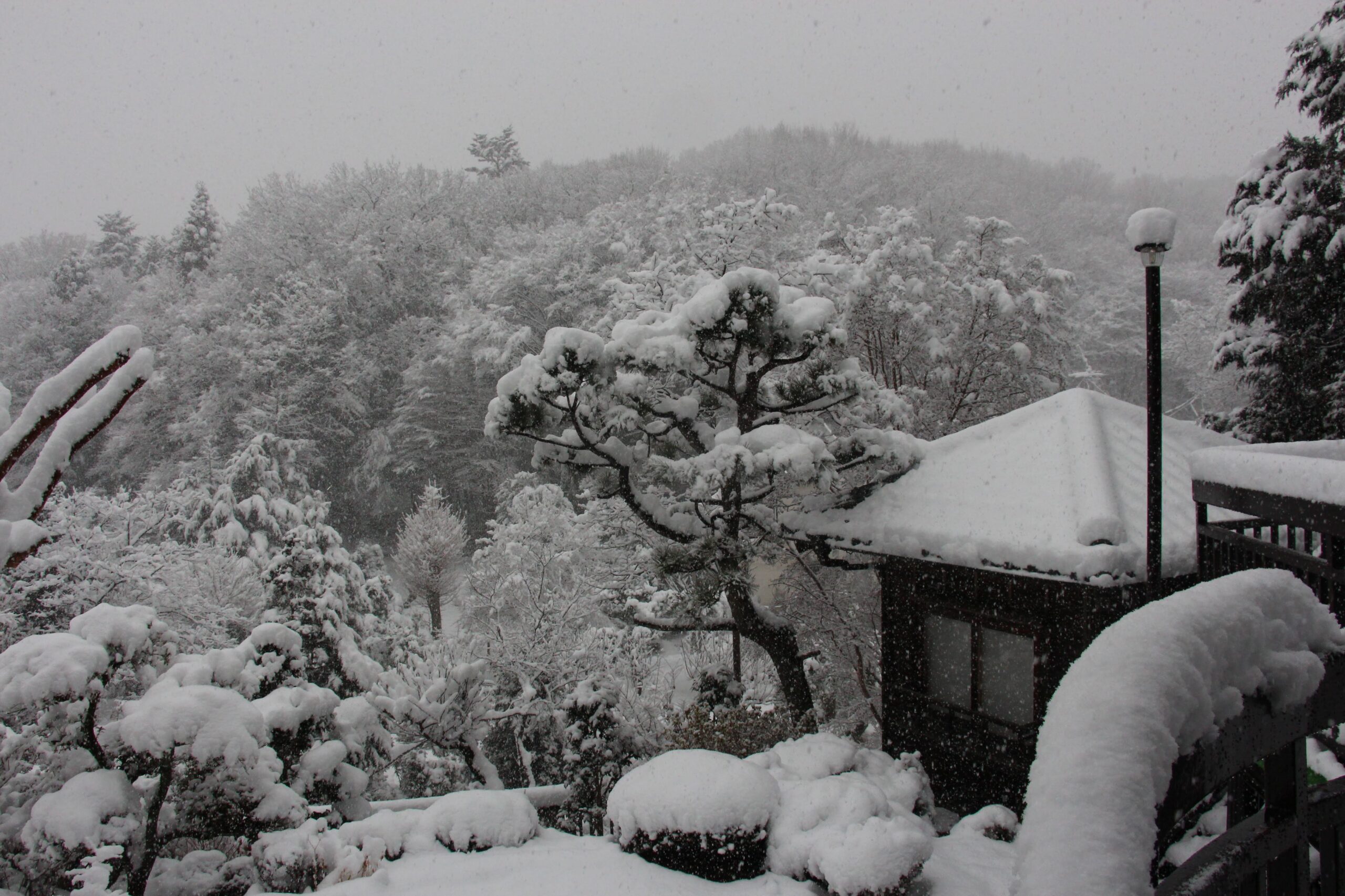眠る山に映る心象。